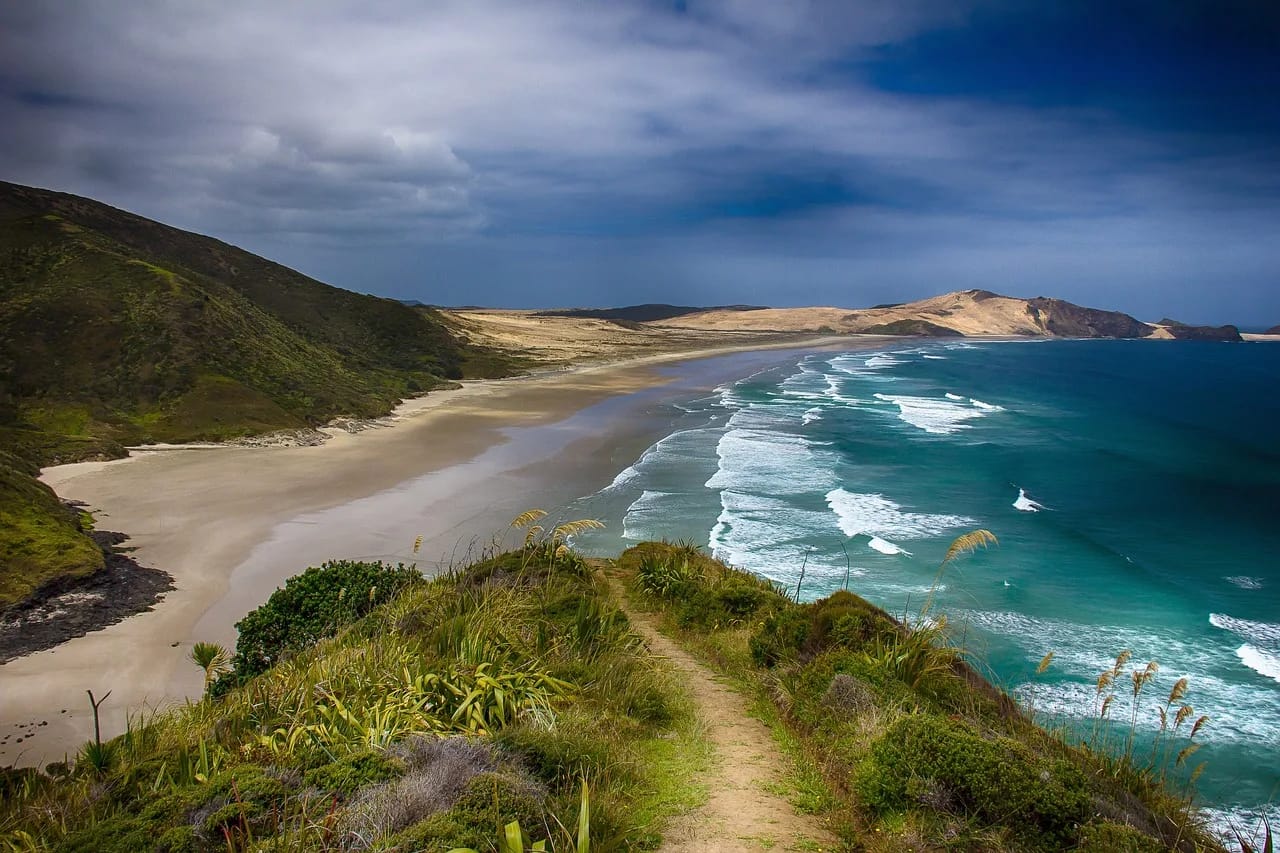 New Zealand Beach 2025 Summer Colour Trends