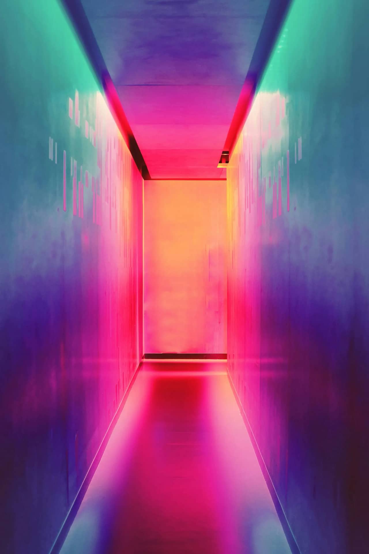 multicolored hallway 2025 Colour Trends in New Zealand